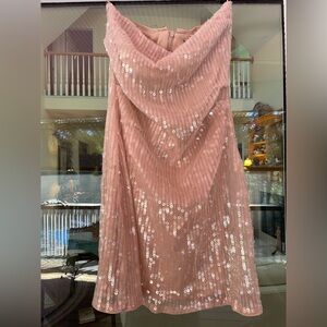 Zara Pink Sequin Strapless Dress, Sz. M